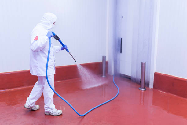 Best Gutter Cleaning  in Sonora, CA